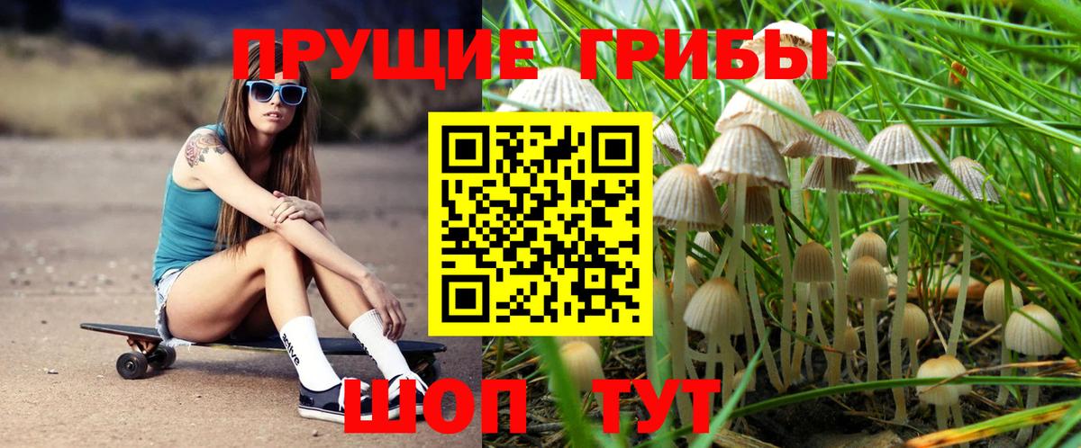 Шелехов  Галлюциногенные грибы Cubensis  Вход с VPN 